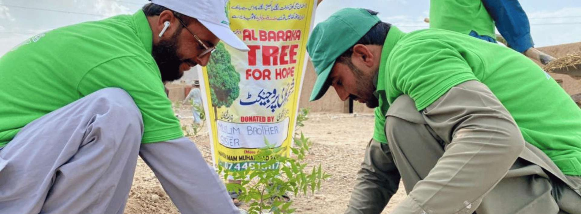 Tree Project